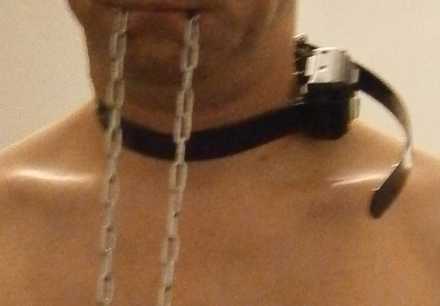 Elektro-Halsband aus der Nhe